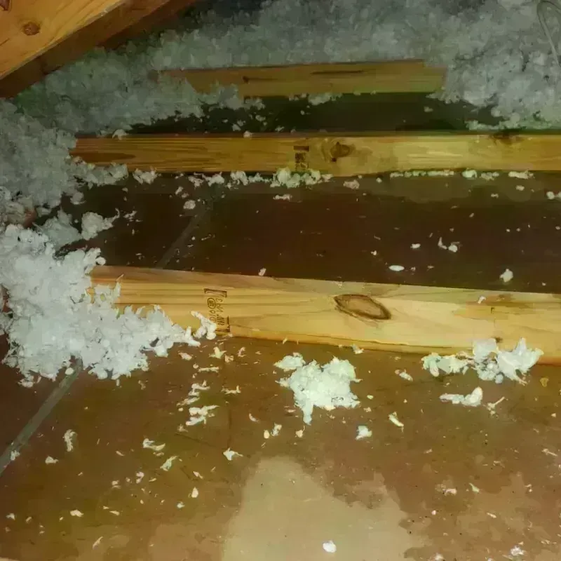 Attic Water Damage in Wilsonville, OR