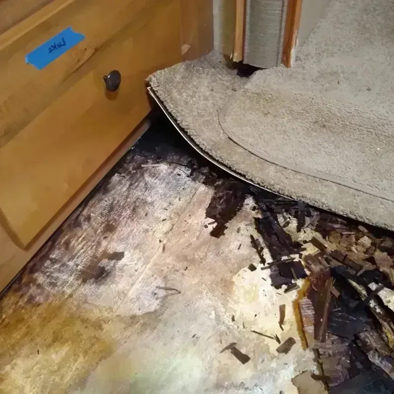 Wood Floor Water Damage in Wilsonville, OR